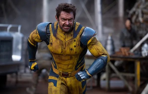 Picture Wolverine, Hugh Jackman, Marvel Studios, 2024, Deadpool & Wolverine