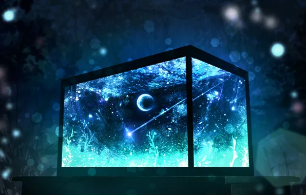 Space, aquarium, fantasy