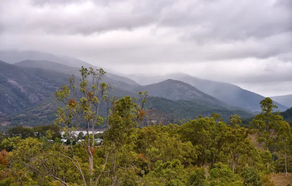 Picture forest, the sky, clouds, trees, mountains, river, home, valley
