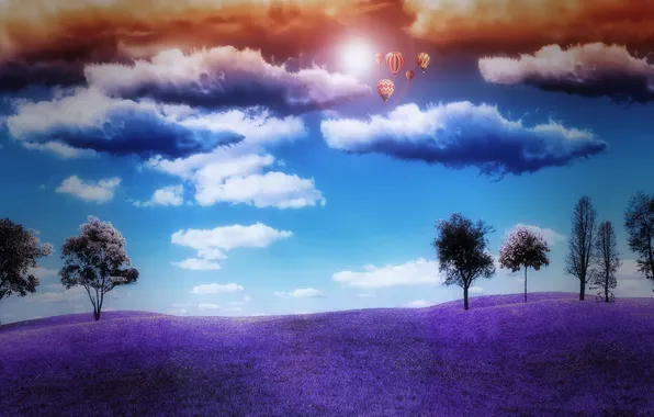 Field, the sky, the sun, clouds, trees, nature, balloons, horizon