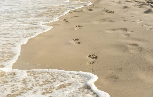Sand, wave, beach, traces, summer, beach, sea, sand