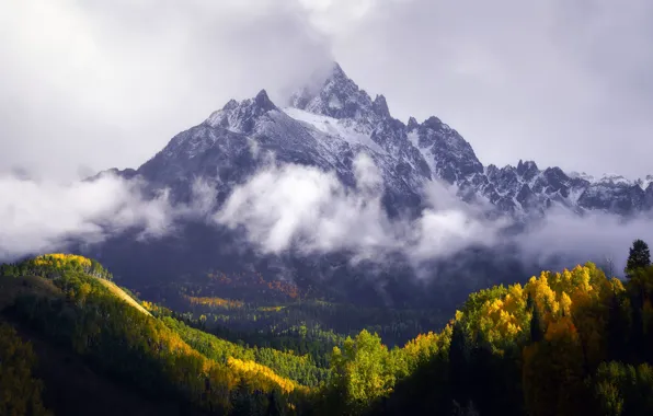 Autumn, forest, mountains