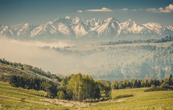 Mountains, nature, fog