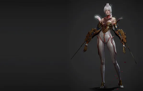 Picture the game, fantasy, art, assassin, costume design, ansdj kim, Medel 3d Paragon character skins