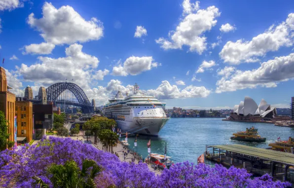 Water, flowers, Australia, Sydney, liner