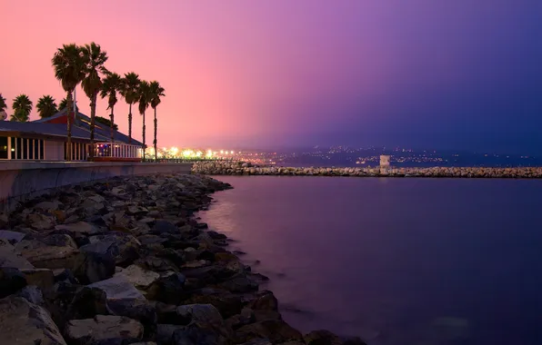 Picture sunset, the city, palm trees, coast, california