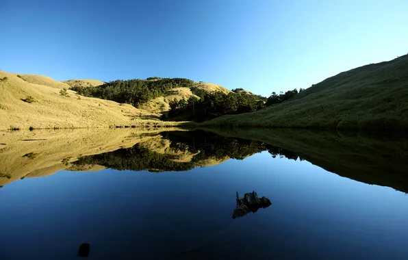 Picture the sky, grass, trees, lake, hill, glassy surface