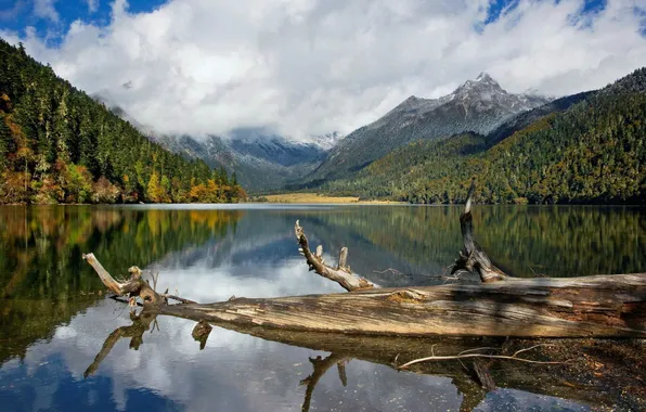 Picture the sky, clouds, mountains, lake, reflection, snag, sky, mountains
