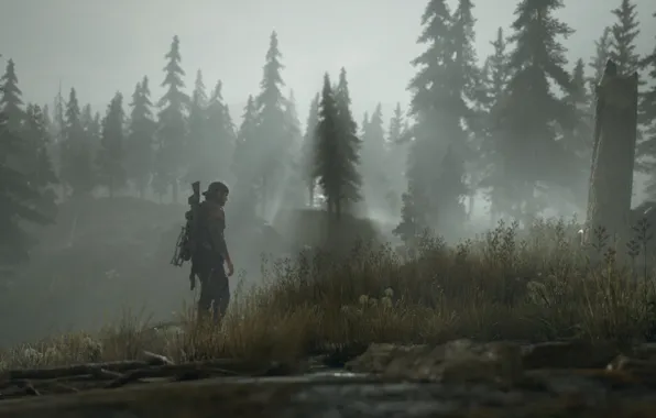 Forest, fog, haze, male, screenshot, postapokalipsis, computer game, screenshot