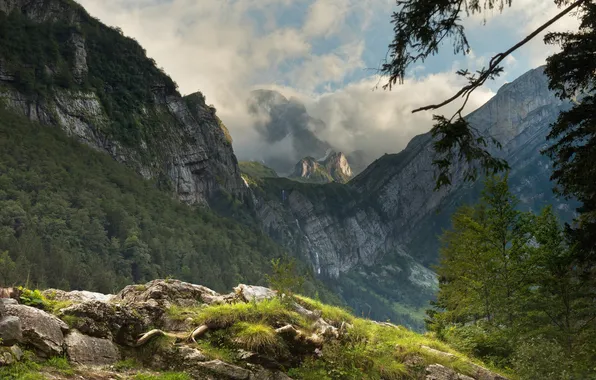 The sky, clouds, mountains, branches, fog, stones, the slopes, height