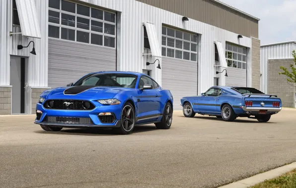 Blue, Mustang Mach 1, Two cars