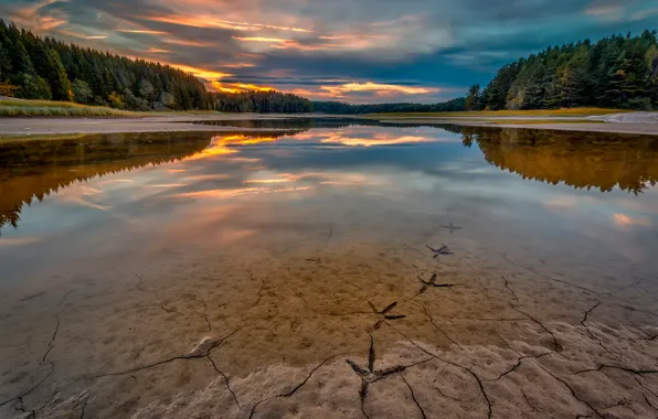 Picture river, Norway, bird footprints