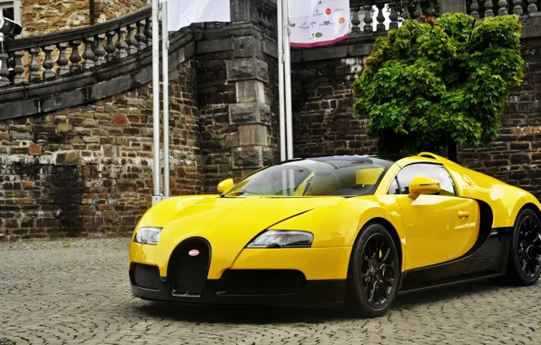 Picture Bugatti, Veyron, 2012, Yellow, Bugatti Veyron, Bugatti Veyron. Black, Yellow Veyron