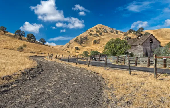 Road, landscape, home