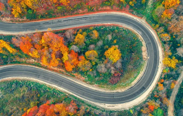 Road, autumn, forest, trees, nature, Park, view, height