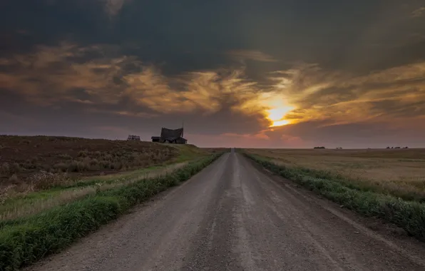 Picture road, field, sunset, house