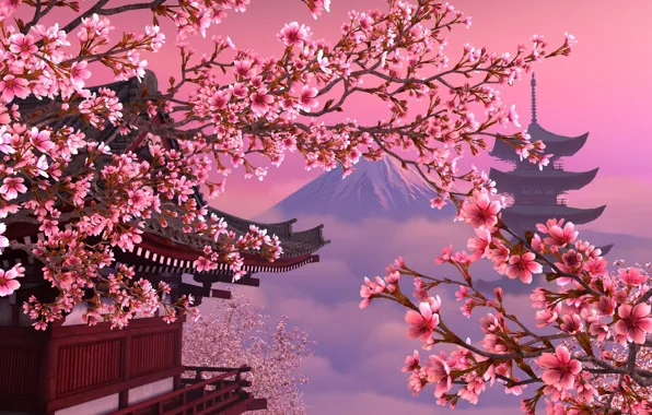 Picture Japan, Sakura, pink, beautiful