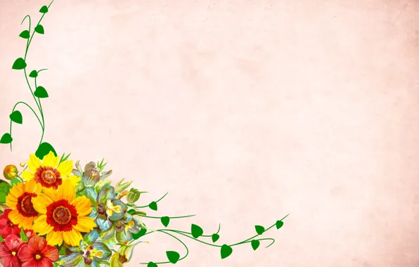 Picture flowers, background, postcard, template, blank