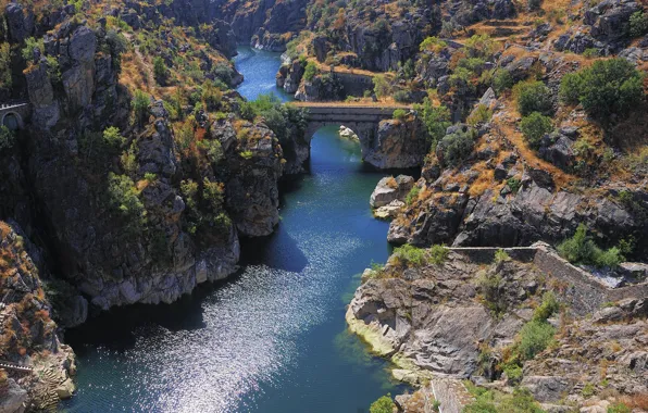 Trees, bridge, river, rocks