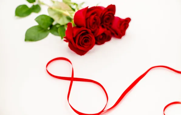 Flowers, roses, tape, red, red, March 8, flowers, romantic