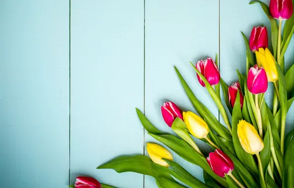 Picture flowers, spring, colorful, tulips, yellow, wood, pink, flowers