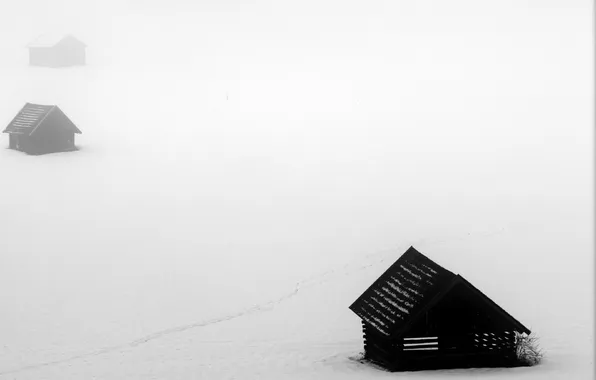 Field, fog, home