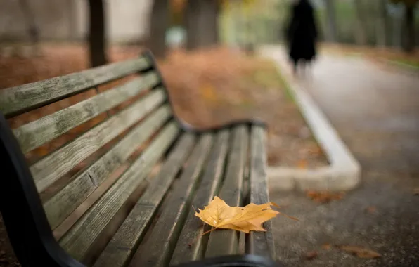 Picture the city, sheet, street, bench