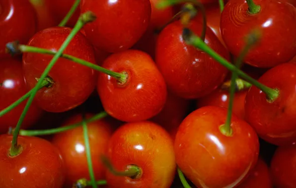 Macro, red, berries, fruit, fruit, cherry