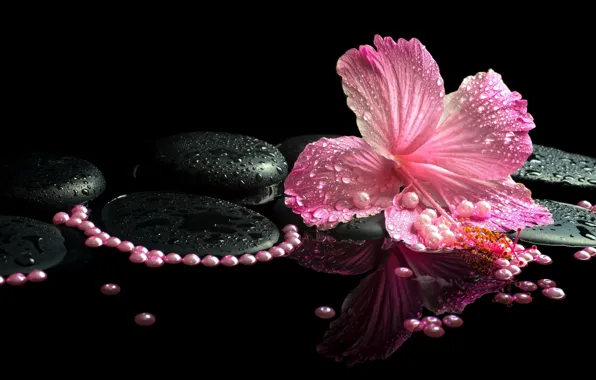 Beads, black background, hibiscus, Spa stones