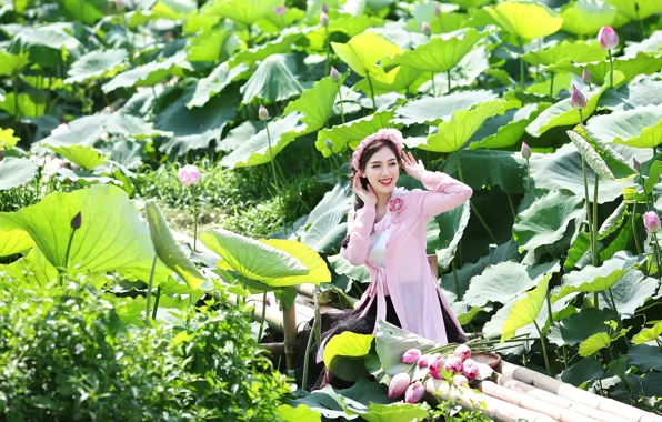 Picture summer, girl, Lotus