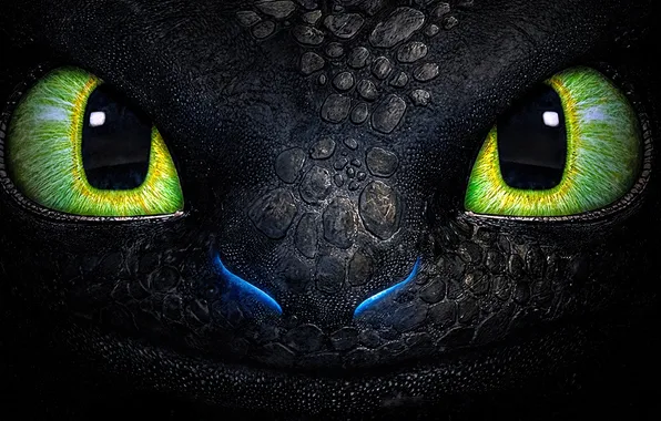Face, portrait, Dragon, Toothless, How to train your dragon, green eyes, Cartoon, Toothless