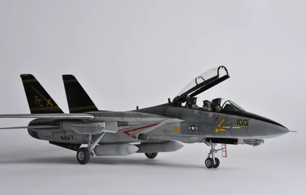 Picture toy, fighter, jet, Tomcat, double, model, Grumman F-14, "Tomcat"