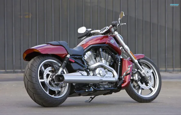 Muscle, Harley Davidson, Bike, MotorCycle, Cycle, V Rod, VRSCF, MotorBike