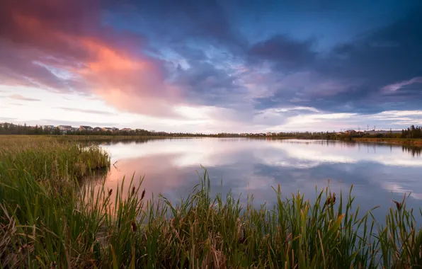 Picture the sky, grass, clouds, lake, the evening, Canada, reed, houses