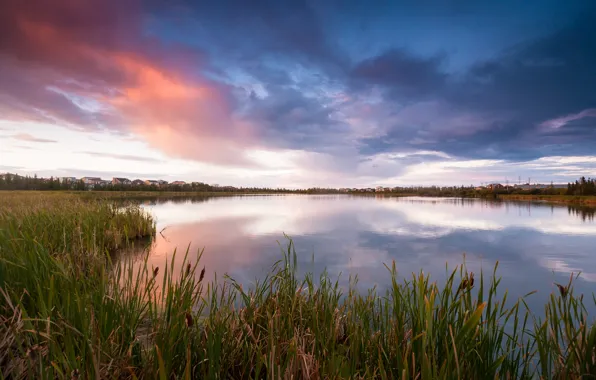 The sky, grass, clouds, lake, the evening, Canada, reed, houses