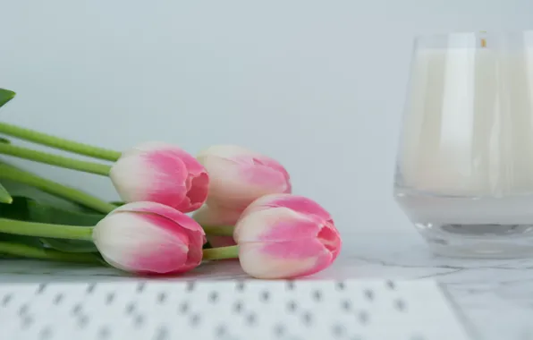 Candle, tulips, keyboard, pink, flowers, tulips, tender