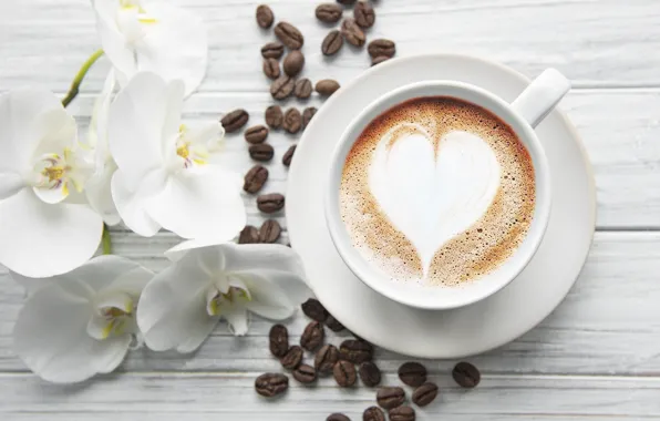 Heart, coffee, Cup, white, Orchid, Olena Rudo