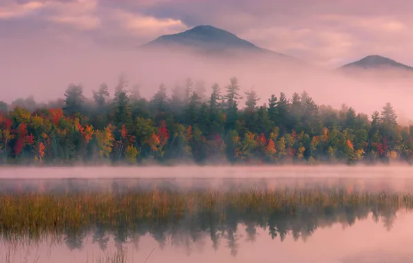 Autumn, trees, mountains, fog, USA, the state of new York