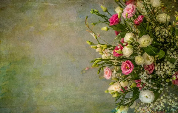 Texture, buds, eustoma, gypsophila