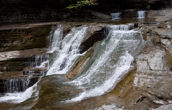 Picture rocks, waterfall, Stream, New York, USA, USA, nature, New York