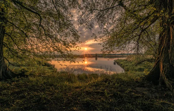 Trees, sunset, lake, photo