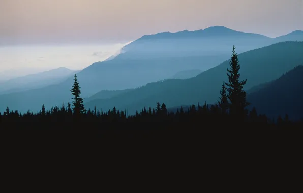 Picture forest, the sky, trees, sunset, mountains, nature, fog, rocks