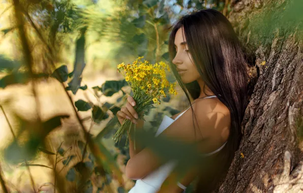 Leaves, girl, nature, tree, brunette, trunk, a bunch, Sergey Gromov