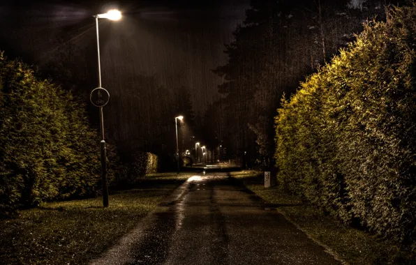 Picture rain, Street, lantern