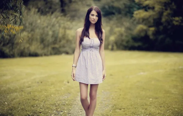 Picture look, nature, pose, Girl, dress, brunette, legs