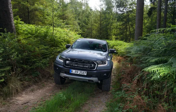 Picture grey, Ford, Raptor, pickup, Ranger, forest road, 2019