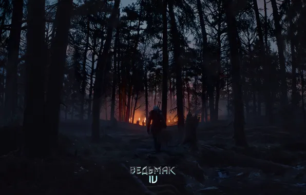 The game, Forest, CRIS, screen shot, The Witcher 4
