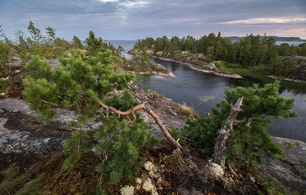 Landscape, lake, the evening, hill, Karelia, Ladoga, skerries, Sergey Serushkin