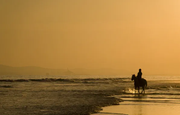 Picture sand, sea, animals, water, people, the ocean, horse, shore