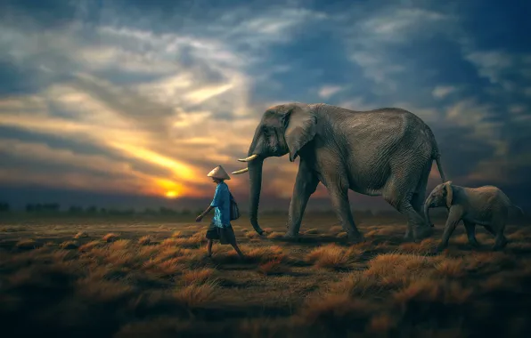 The sky, people, elephant, horizon